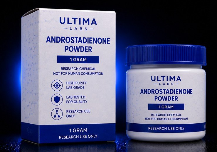 ANDROSTADIENONE POWDER (1 GRAM) - Image 5