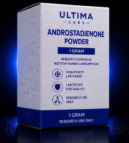 ANDROSTADIENONE POWDER (1 GRAM) - Image 4