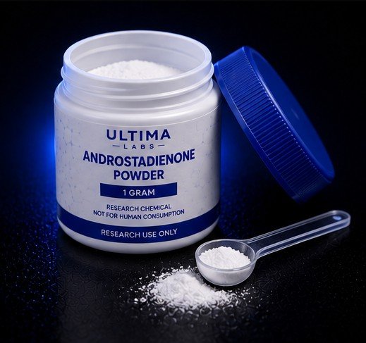 ANDROSTADIENONE POWDER (1 GRAM) - Image 3
