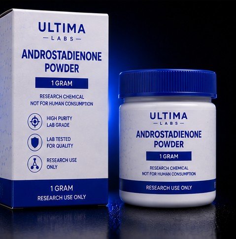 ANDROSTADIENONE POWDER (1 GRAM)
