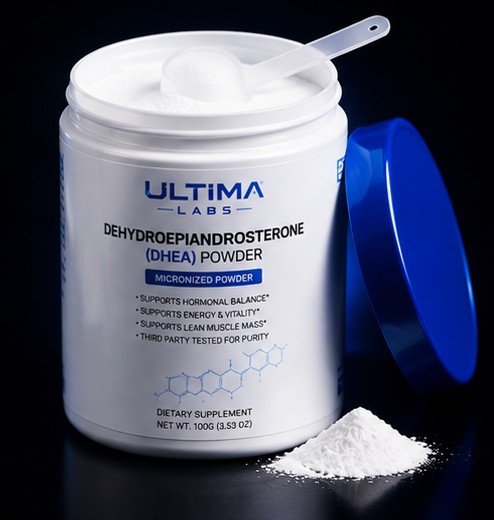 DEHYDROEPIANDROSTERONE (DHEA) POWDER - Image 4