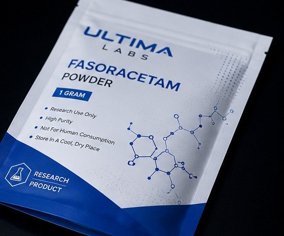 FASORACETAM POWDER (1 GRAM) - Image 2