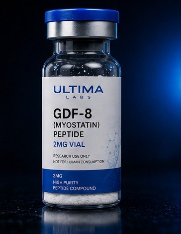 GDF-8 (MYOSTATIN) PEPTIDE 2MG VIAL - Image 3