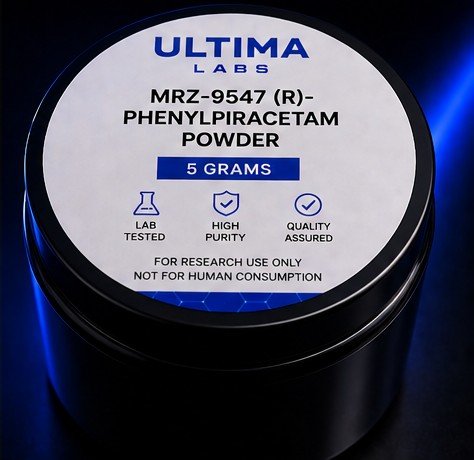 MRZ-9547 (R)-PHENYLPIRACETAM POWDER (5 GRAMS) - Image 5