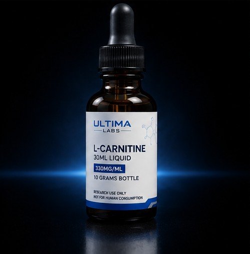 L-CARNITINE 30ML LIQUID (330MG/ML, 10 GRAMS BOTTLE)
