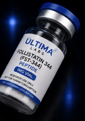 FOLLISTATIN 344 (FST-344) PEPTIDE 1MG VIAL - Image 4